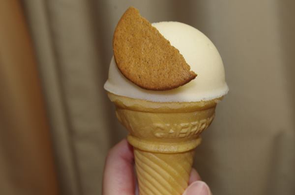 業務スーパーのジンジャークッキーをトッピングしたアイスクリーム