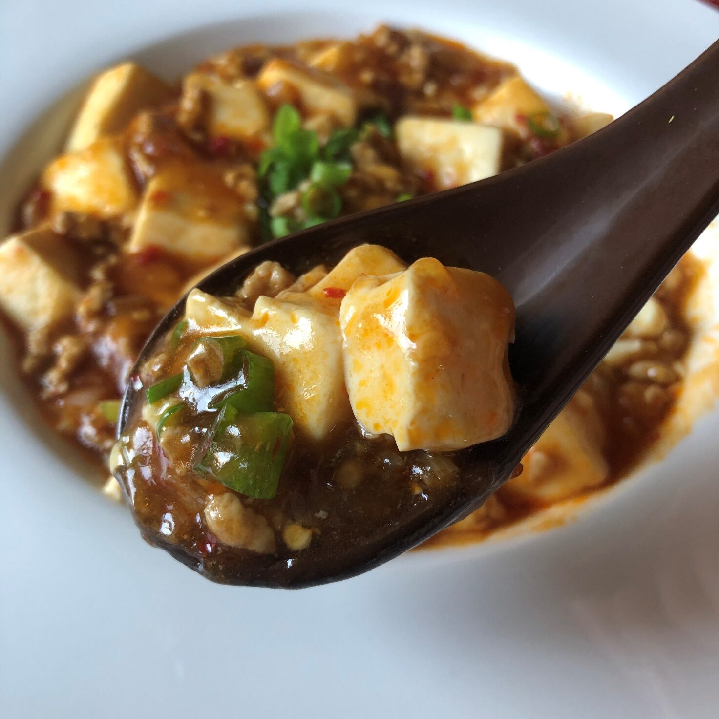 スプーンですくった業務スーパーの四川豆板醤で作った麻婆豆腐のアップ